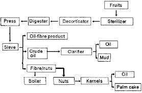 oil palm production