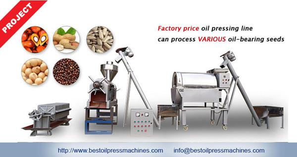 small oil pressing equipment in South Africa