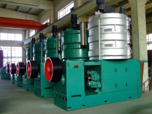oil press extraction